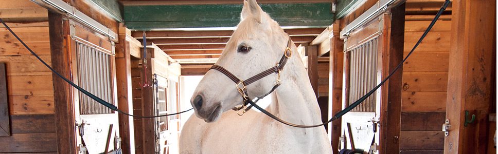 frequently asked questions about installing light weight horse stall mats